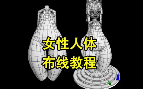 女性人体|3D 解剖平台｜Complete Anatomy